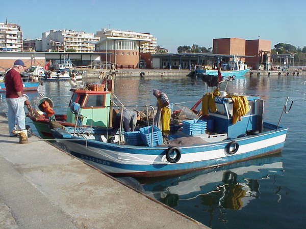 m__ster_sostenibilitat.jpg m__ster_sostenibilitat.jpg