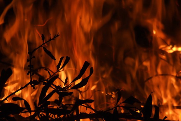 sensor_antiincendis.jpg sensor_antiincendis.jpg