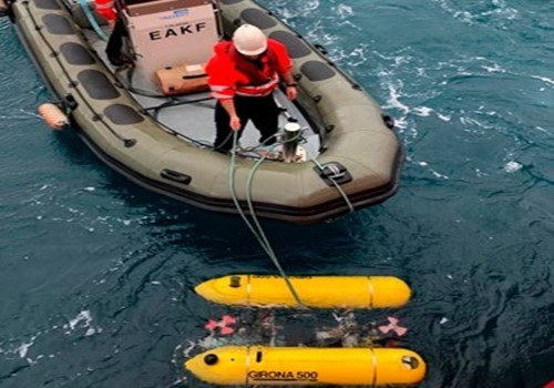 El SARTI participa, amb l’ICM-CSIC i la UdG, en un estudi de les espècies que habiten al mar profund, on es combina l’ús d'estacions de recepció acústica fixes i robots submarins