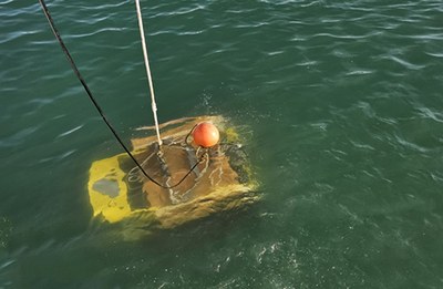 L'OBSEA fa les primeres immersions del robot que crearà el bessó digital de l'ecosistema marí