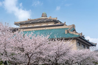 2 places per a estudiants de la UPC, per al curs d'estiu 2025 de la Wuhan University (Xina)