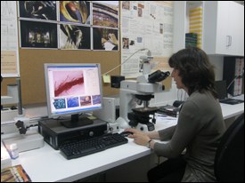 activitats_612_labaucat3.jpg