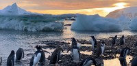 The UPC’s Laboratory of Applied Bioacoustics studies ocean noise pollution in Antarctica