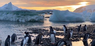 The UPC’s Laboratory of Applied Bioacoustics studies ocean noise pollution in Antarctica