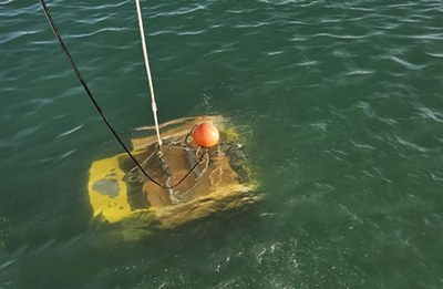 El OBSEA realiza las primeras inmersiones del robot que creará el gemelo digital del ecosistema marino