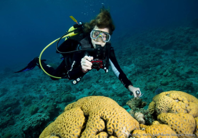 Próxima investidura como doctora honoris causa por la UPC de la Dra. Sylvia Earle