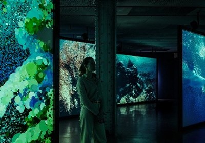 Reconocimiento a la instalación inmersiva 'Seeing Echoes in the Mind of the Whale' con participación del LAB